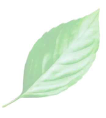 Chinese cuisine pattern