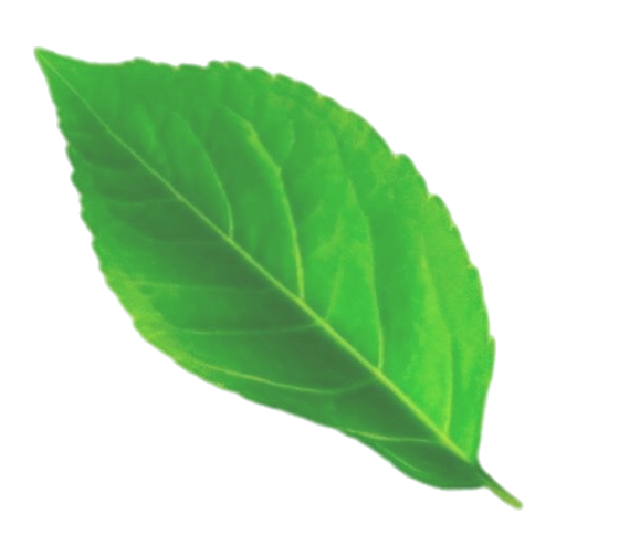 Spicy Chinese food graphic